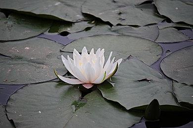 《使命召唤20：现代战争3》多人首发模式公布 更多后续推出